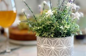 Tête en l'air- Cocon Lumineux- Centre Muret- Parking et commodités - Foto 31