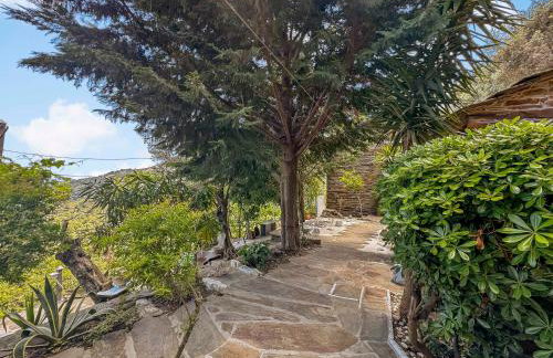 Ikaria View Resort and Villa with Pool - Photo 71