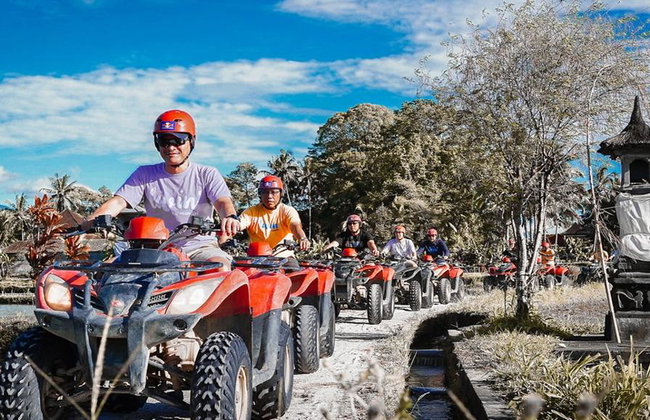 Quad Adventure and Monkey Forest - Full-Day Tour with Lunch - Photo 6