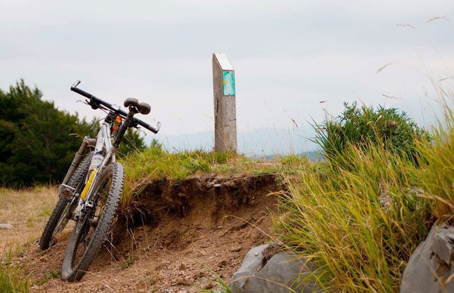 Fattoria Giunasco - Foto 25