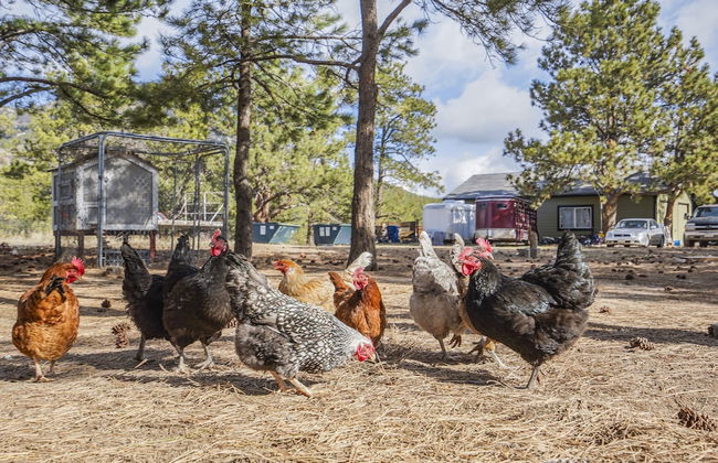 Cowboy Quarters - Foto 26