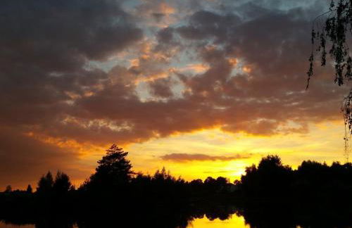 Holiday home in Güster with swimming pool - Foto 36