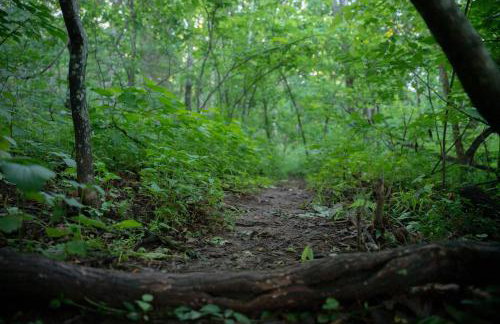 Amazing View Hot Tub Firepit BBQ Private Pets - Foto 3