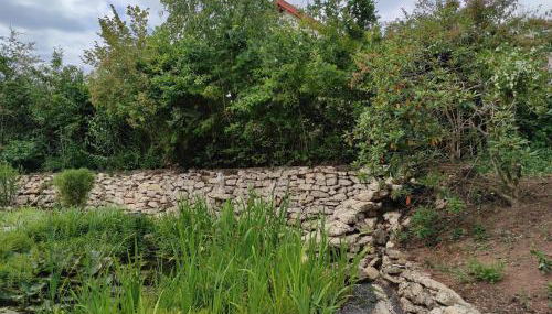 Ferienwohnung am Zweitälerweg - Foto 3, Garden