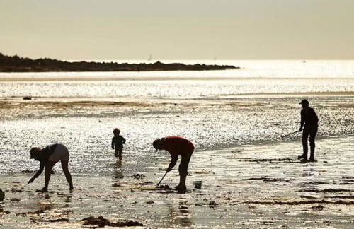 Maison cosy rénovée - Jardin - 50m des plages - Foto 35