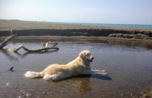 Ciglieri SantErmo Casciana Terme Lari PET&BIKE friendly FREE PARK - Foto 62