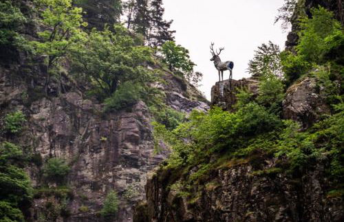 Ferienwohnung "Mettmatalblick" mit privater Sauna, Ühlingen-Birkendorf - Foto 28
