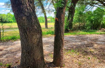 The Tiny 'Tainer - Tiny Container Home w. Hot Tub! - Foto 28