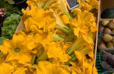 Maison du Roy/ Upper Cambers - Foto 54