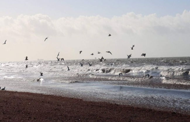 10 Person Holiday Home in Marstal - Foto 24