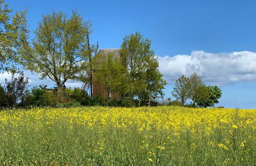 Ostwind - ferienwohnungen & meer - Foto 63