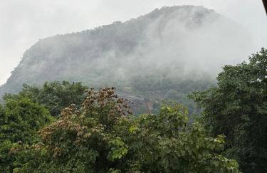 Cabanas Paxixi - Jardim Secreto - Foto 41