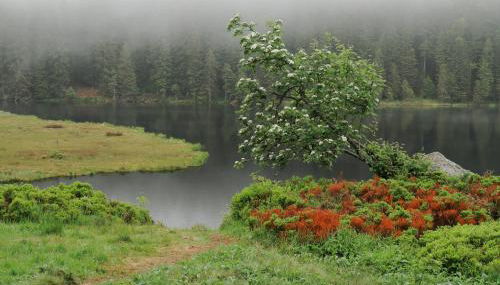 Ferienhaus Bergesblick - Foto 4