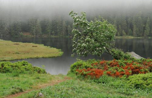 Ferienhaus Bergesblick - Foto 4