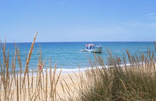 Agri B&B Terre Joniche - Foto 52