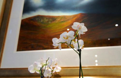 Wolfscastle Country Hotel - Foto 38