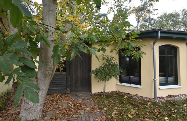 Bungalow in Tessmannsdorf Nahe Salzhaff - Foto 18