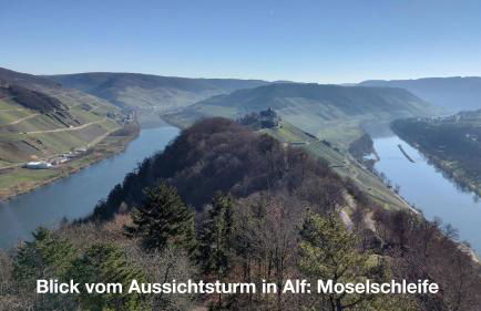 Ferienwohnung Katharina II - Foto 31