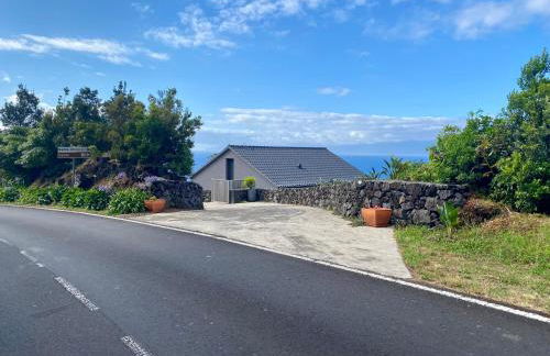 Atlantis Pico - Photo 1