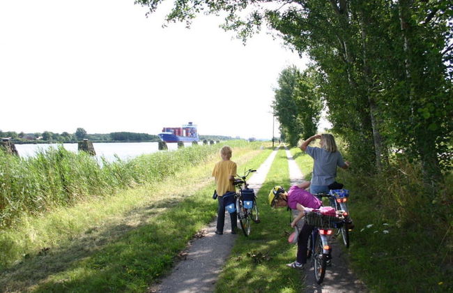 Elke Luthje Modern Retreat - Foto 12