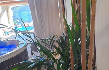 Le gîte de Sainte Valière PISCINE,SPA et CLIMATISATION - Foto 13