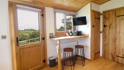 Defaid Cymreig - Foto 4