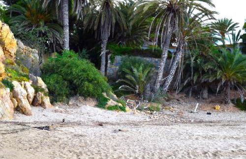 Apartamento con hermoso jardín y AC - Foto 47