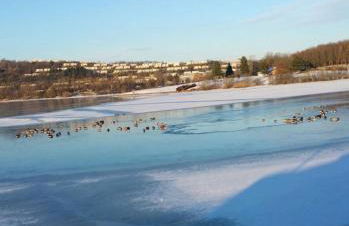 Ferienwohnung Teresa - Foto 23