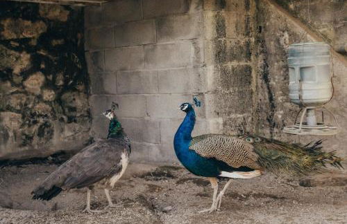 Casa da Carvalha - Foto 42