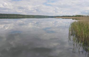 Dom na Końcu Świata w Sercu Natury - Foto 69