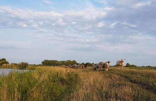 Ferienwohnung "Wallheckenblick Schatteburg", 95159 - Foto 8