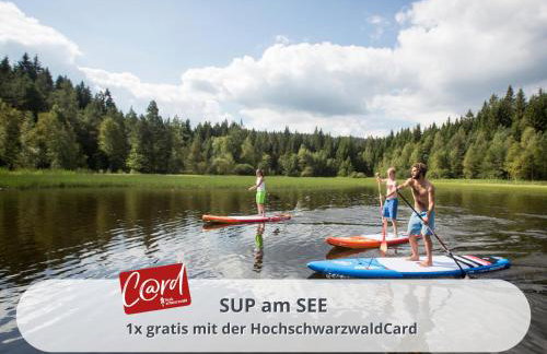 FeWo Schwarzwaldschick Feldberg I Bergurlaub I Balkon I Whirlwanne I Tiefgarage I HochschwarzwaldCard inkl - Foto 25