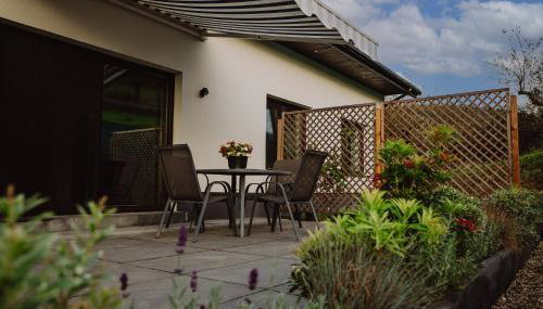 Dom Świerszczem Głośny - Foto 5, Garden