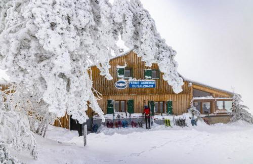 Grand Mobil Home 6 personnes climatisé avec 3 chambres et 2 salles de bains à Munster en Alsace - Foto 43