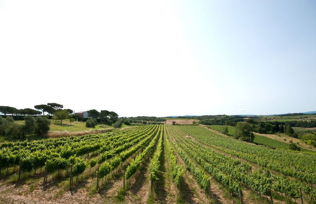 Poste del Chiugi - Foto 55