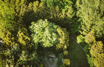 Agroturystyka u Miłosza - Foto 54