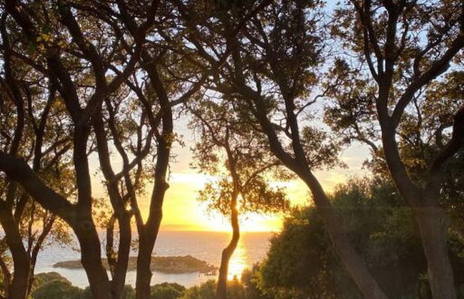 Secluded Seaside Villa w Garden Sea-sunset View - Foto 24