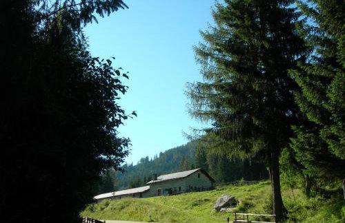 Appartamenti Vacanze Casa Marilleva - Foto 41