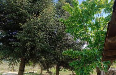 Casa Rural GUADALUPE de la fuenfria - Foto 18