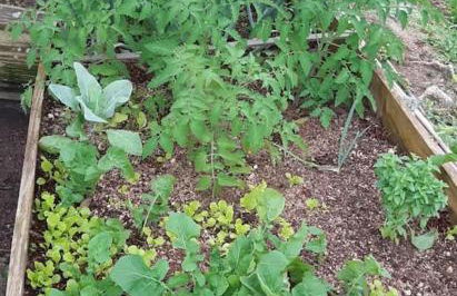 Chalé romântico, com vista panorâmica, para Casais - Foto 27