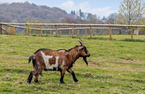 3 Bed in Monmouth oc-52149 - Foto 17