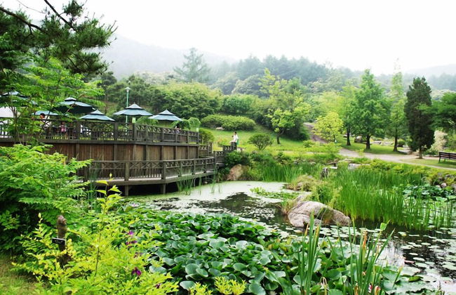 Haeyeorim Village - Foto 45