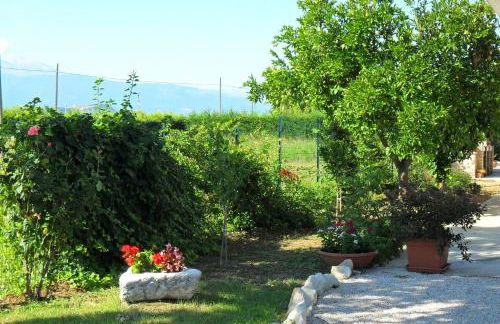 Domus Aurea - Foto 4