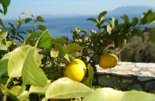 Athina EcoFarm - Foto 22