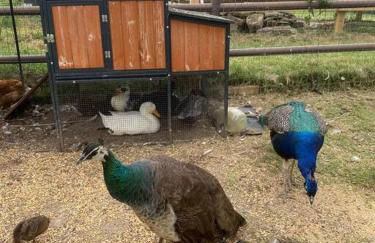 Peaceful Cabin-Breathtaking Views near Branson, MO - Foto 21