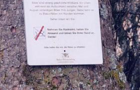 Blackjulie Ferienwohnung im Schwarzwald mit Balkon und Parkplatz ruhig - Foto 23