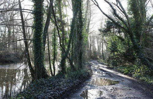 Cosy annexe in the heart of the Sussex countryside - Foto 7
