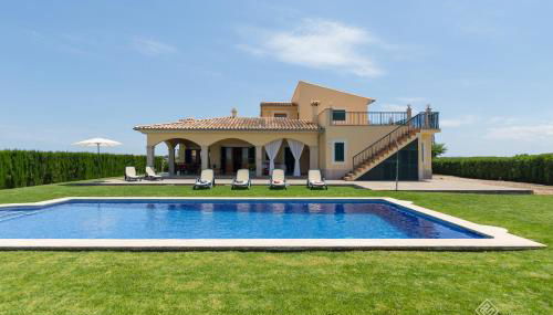 Mussol - Foto 1, Other