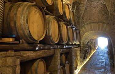 Tenute del Gheppio - Foto 8