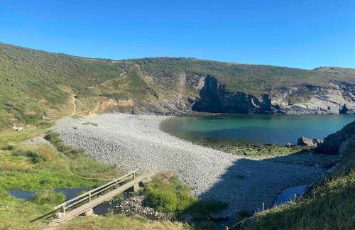 Charming coastal cottage - pet friendly! - Photo 47